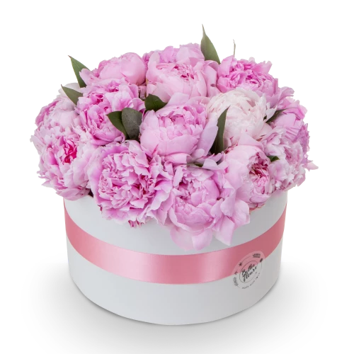 Box růžových pivoněk